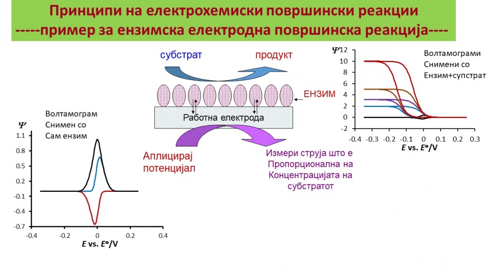 Механизам на студирање на ензимско супстратни реакции во волтаметриски услови